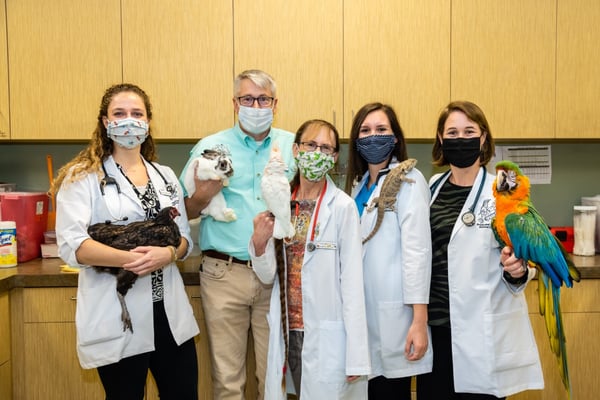 Meet Avian and Exotic Animal Care, 'The Vets for Unusual Pets' Meet Avian and Exotic Animal Care, 'The Vets for Unusual Pets'