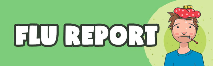 Flu_Report