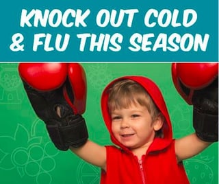 Knock_out_flu_season.jpg